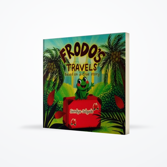 Frodo’s travel