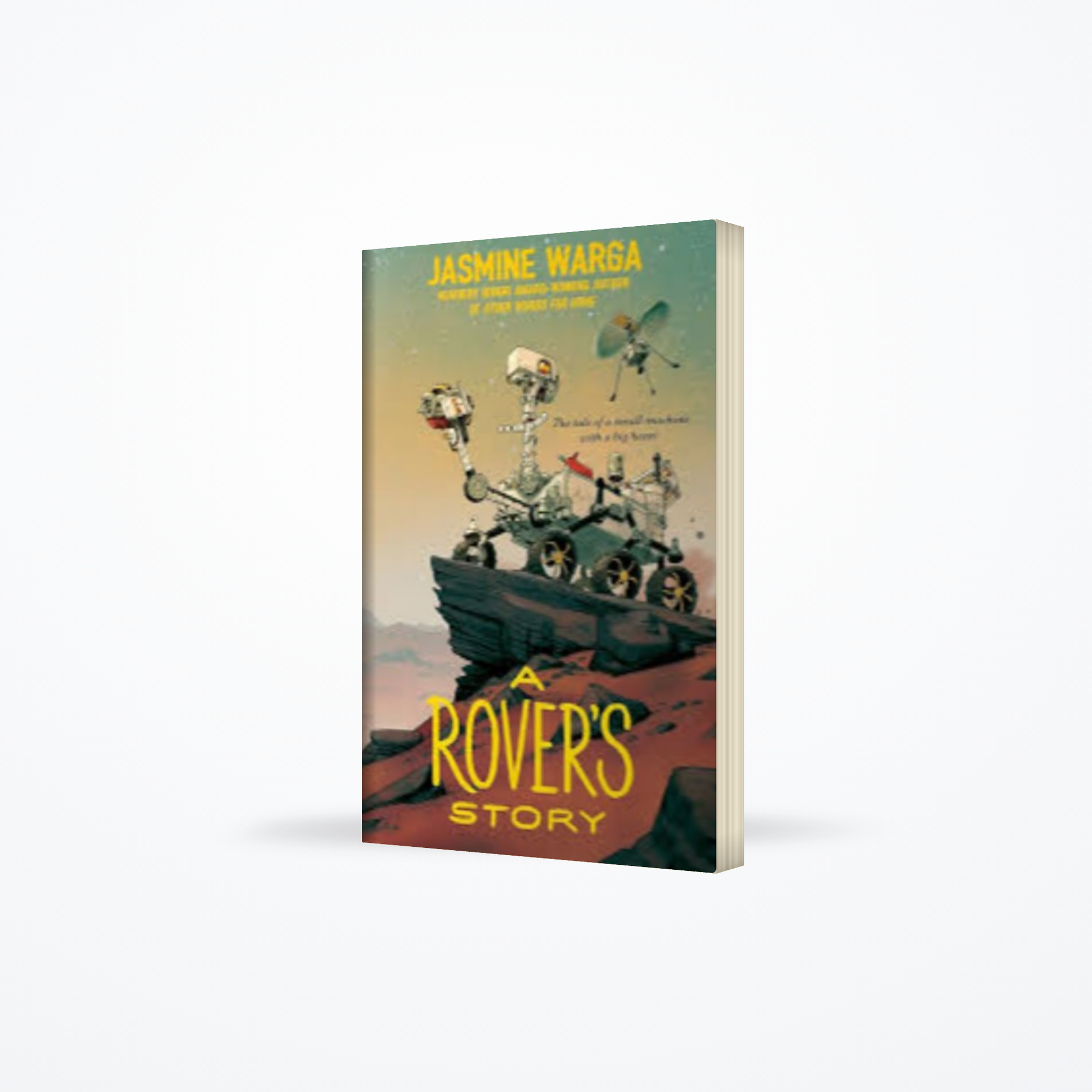A Rovers Story