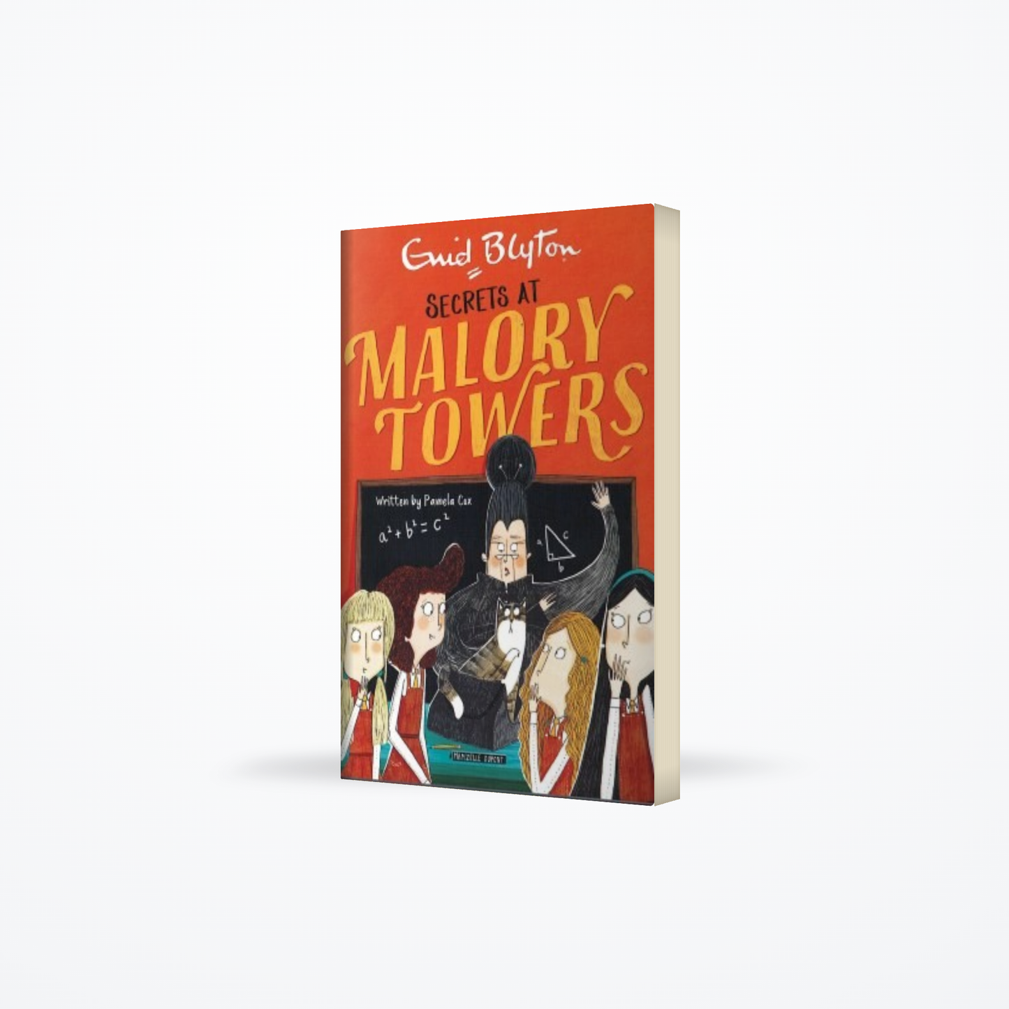 Malory Towers Secrets : book 11