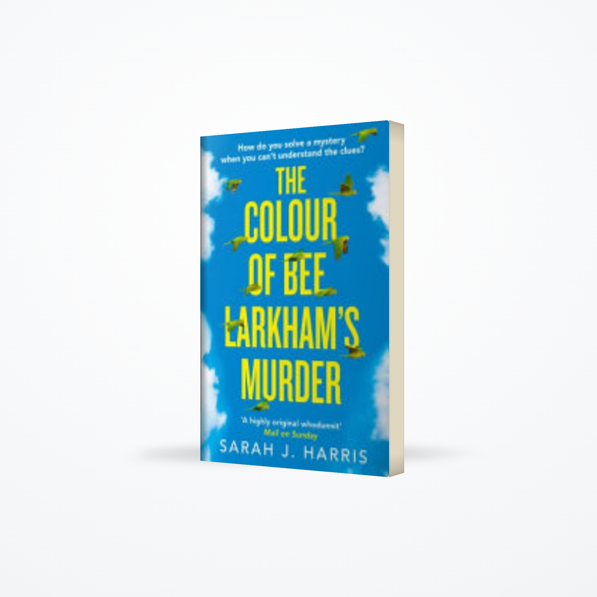 The Colour of Bee Larkhams Murder