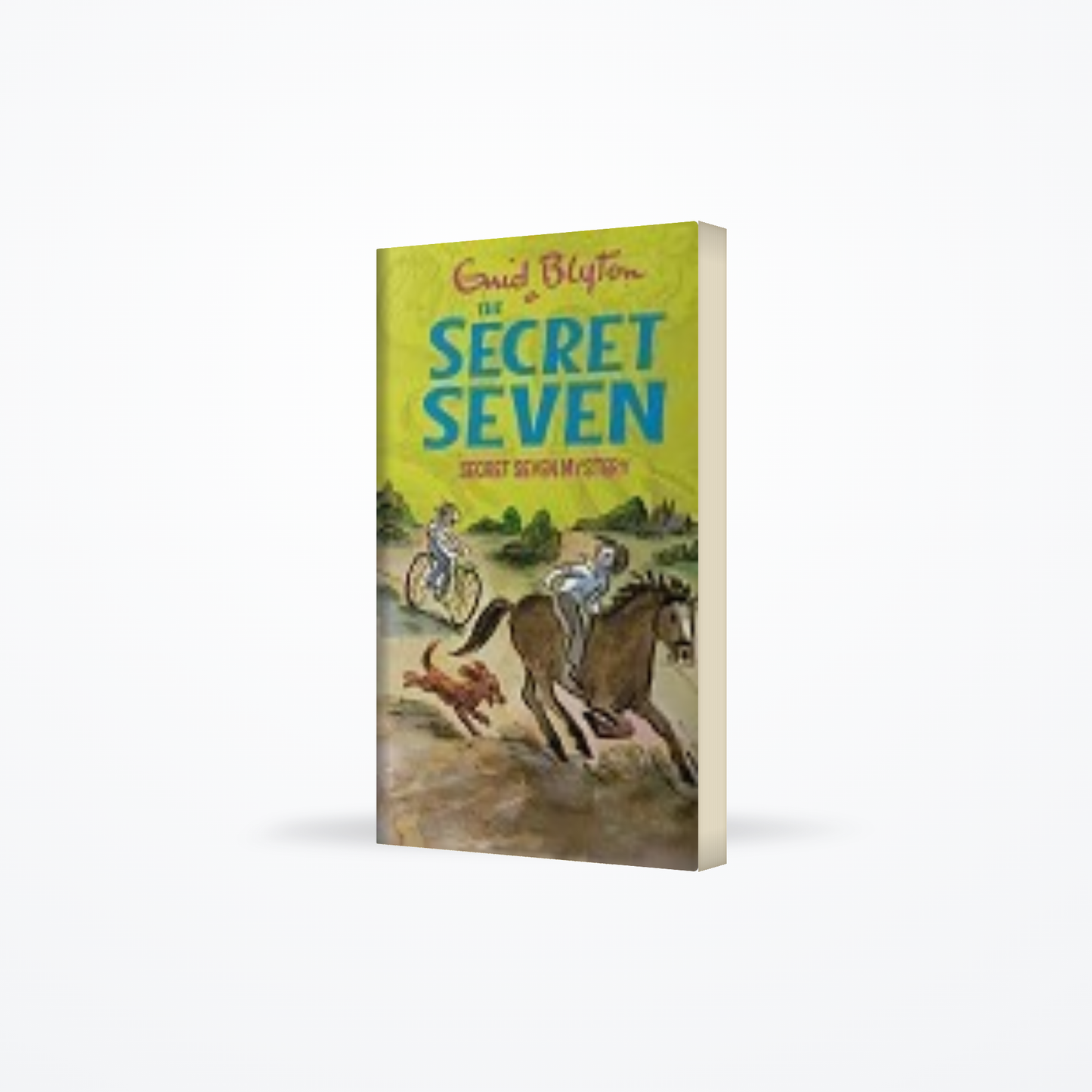 Secret Seven 9 – Secret Seven Mystery