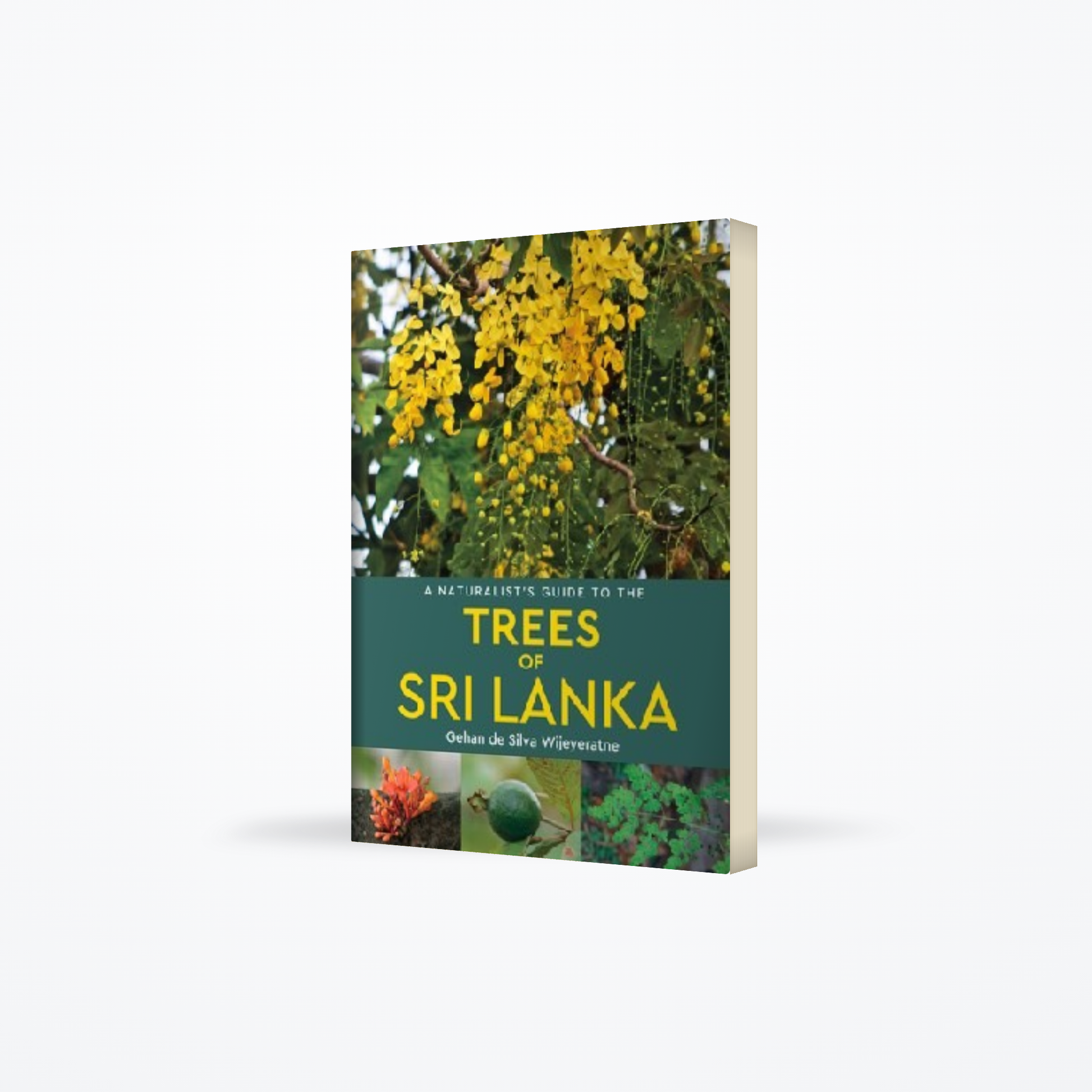 A Naturalist’s Guide to the Trees of Sri Lanka