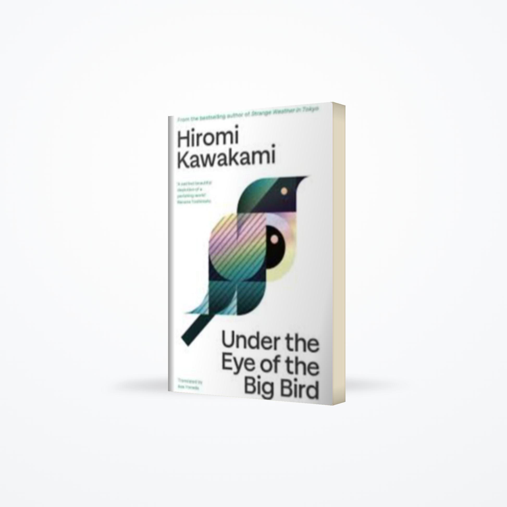 Under the Eye of the Big Bird