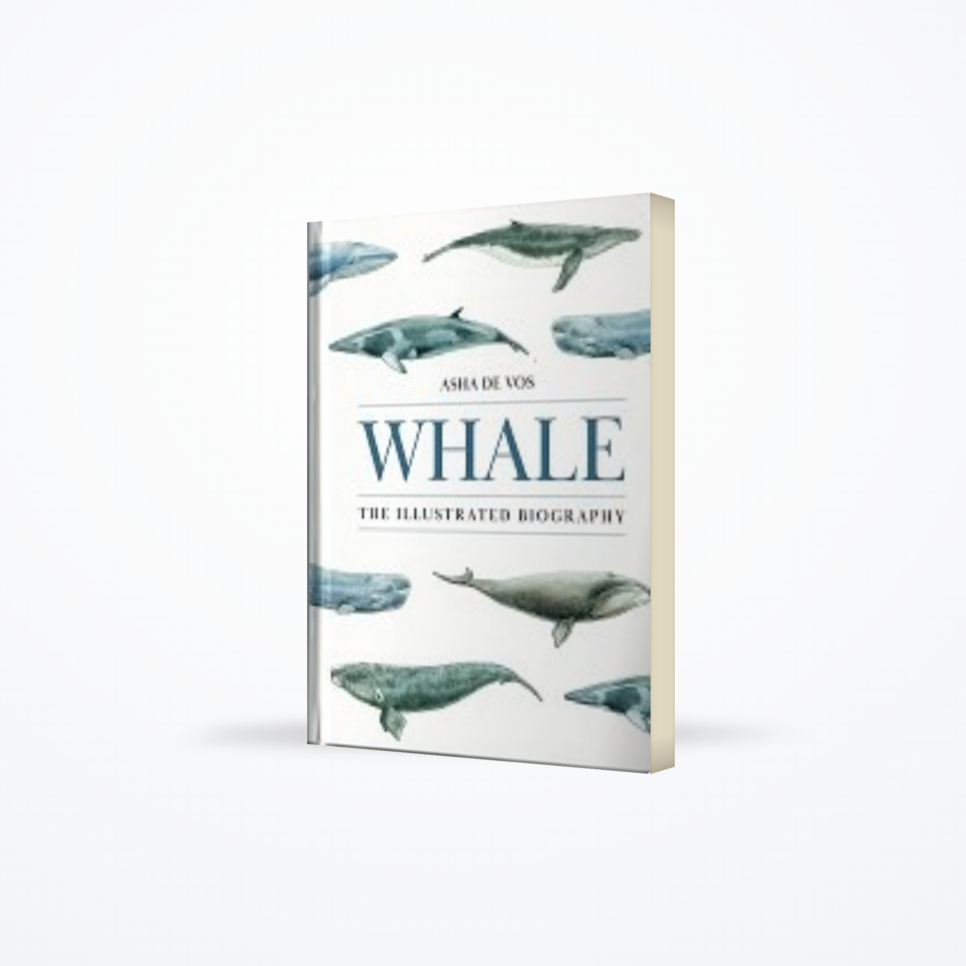 Whale: The Illustrated Biography