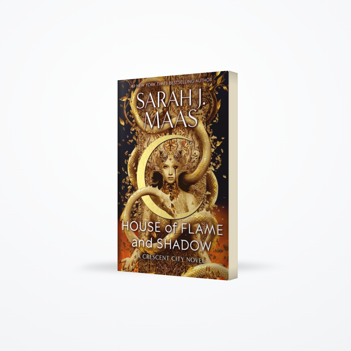 House of Flame and Shadow