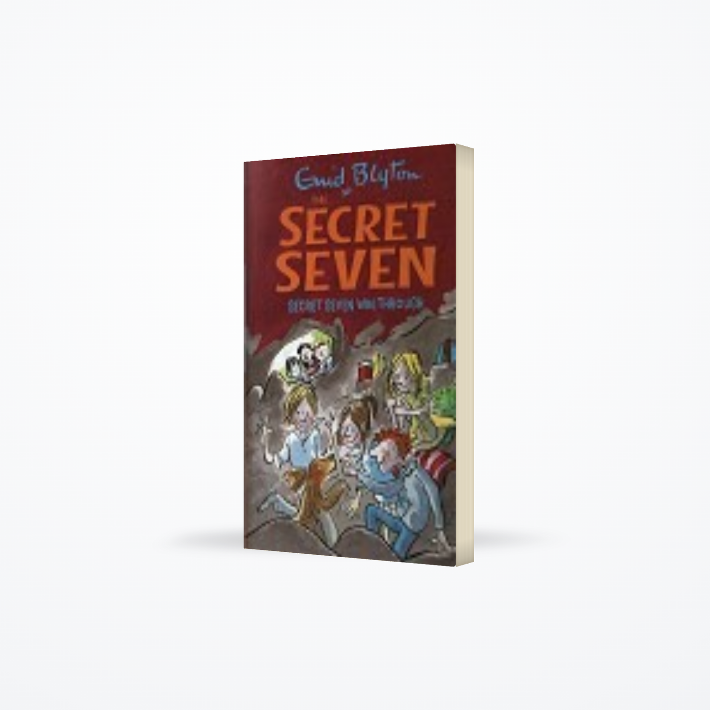 Secret Seven 7 – Secret Seven Win Through