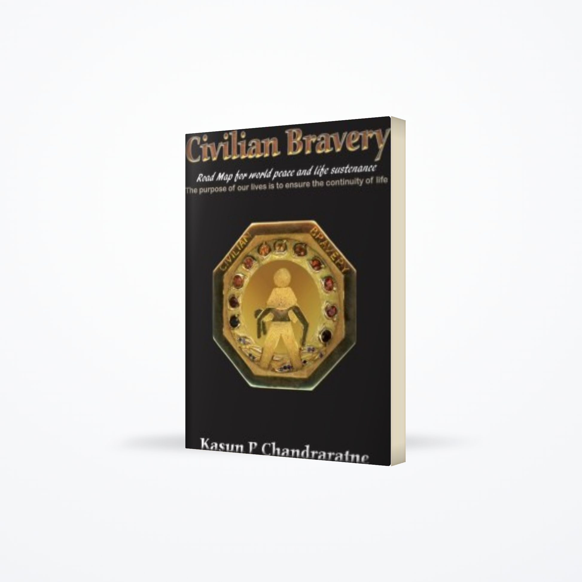 Civilian Bravery