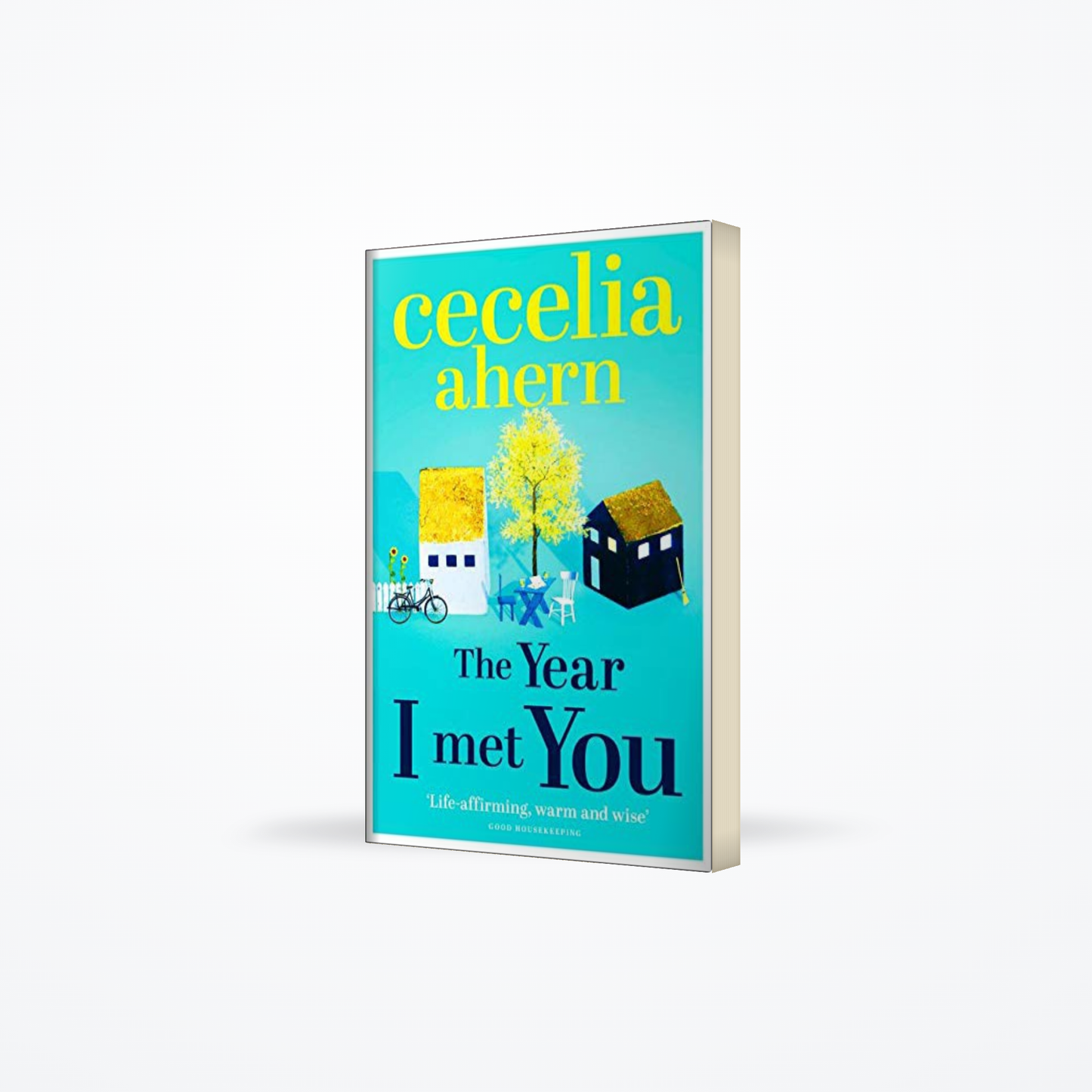The Year I Met You