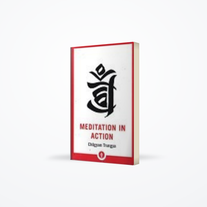 Meditation in Action