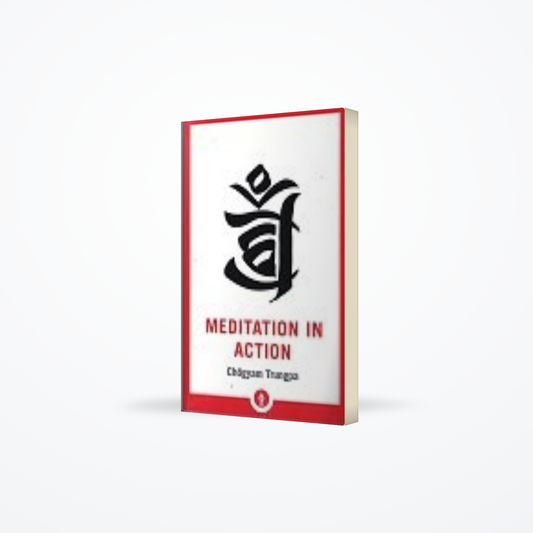 Meditation in Action