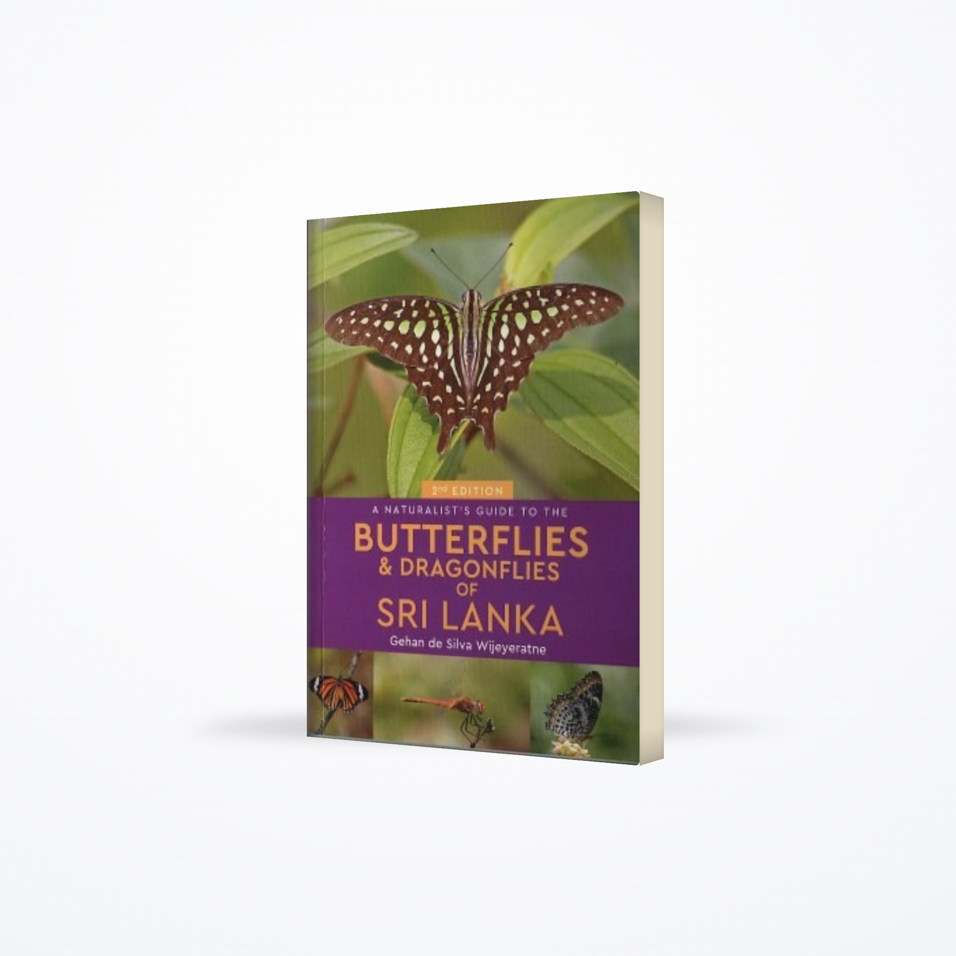 Naturalists Guide To The Butterflies & Dragonflies Of Sri Lanka
