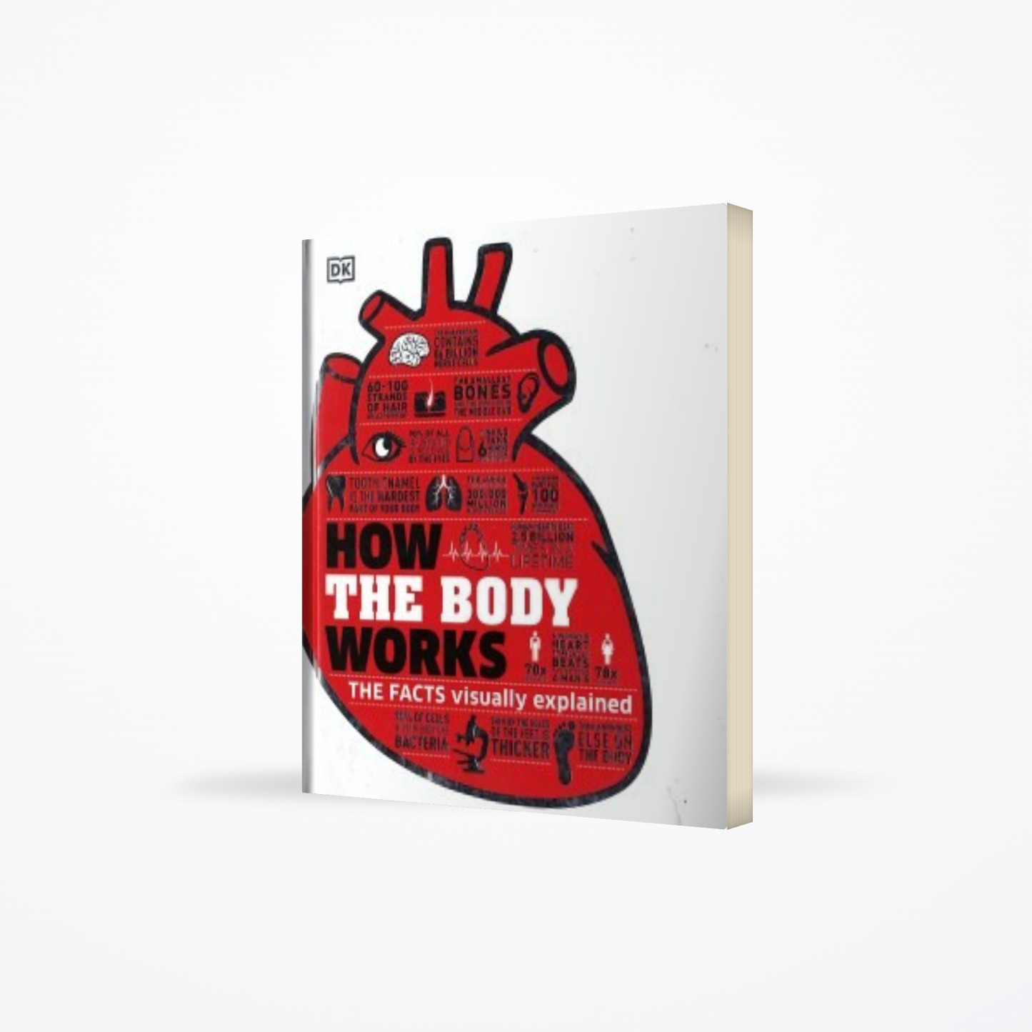 How The Body Works : The Facts Visually Explained