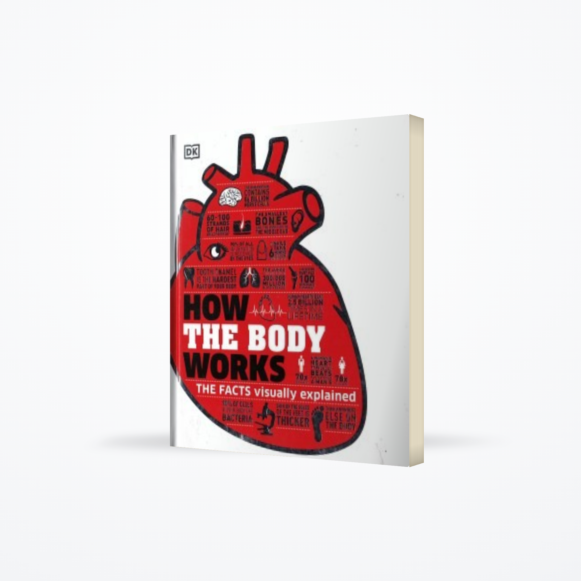 How The Body Works : The Facts Visually Explained