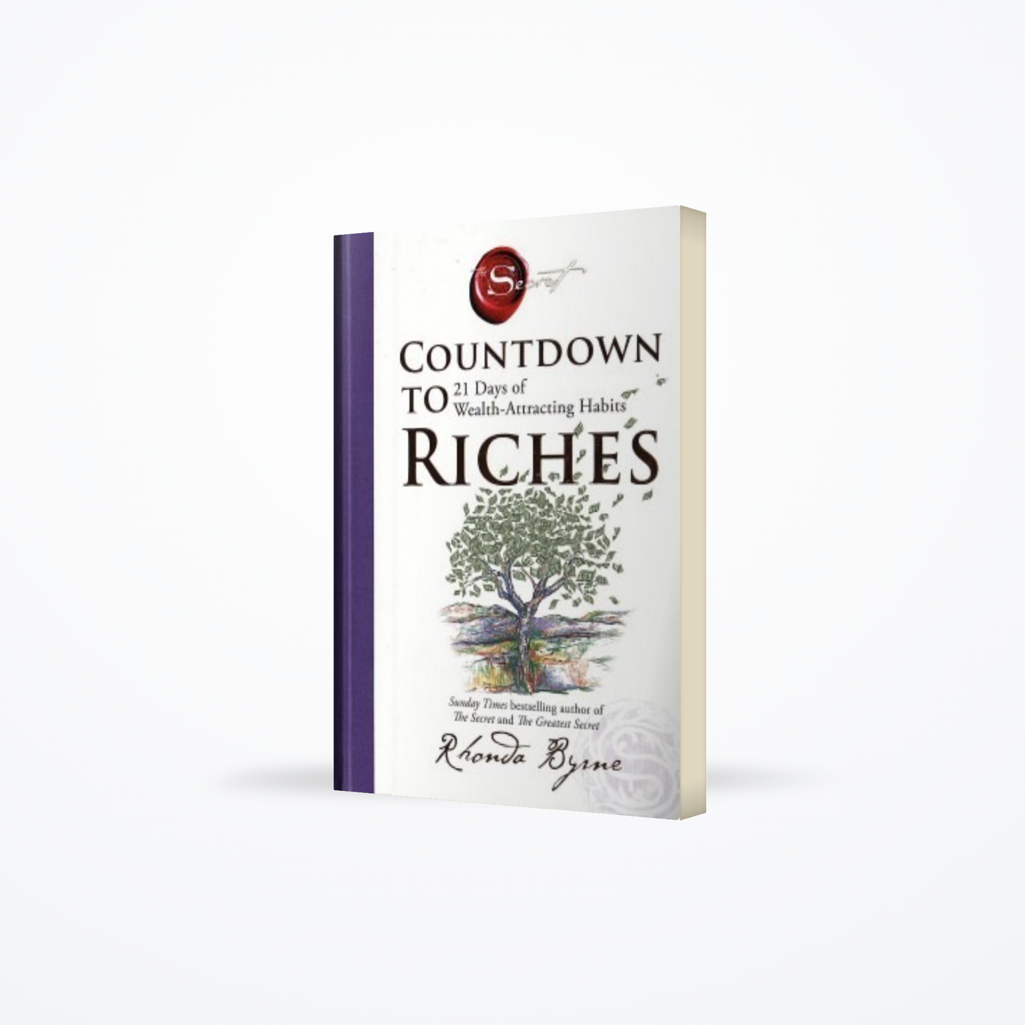 Countdown To Riches 21 Days of Wealth-Attracting Habits
