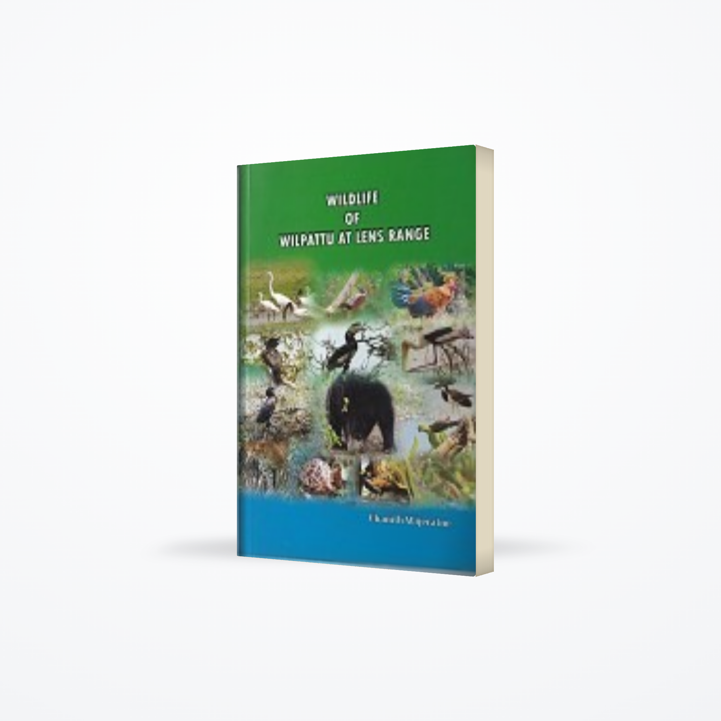 Wildlife Of Wilpattu At Lens Range