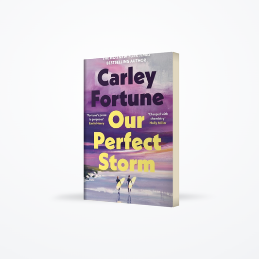 Our Perfect Storm
