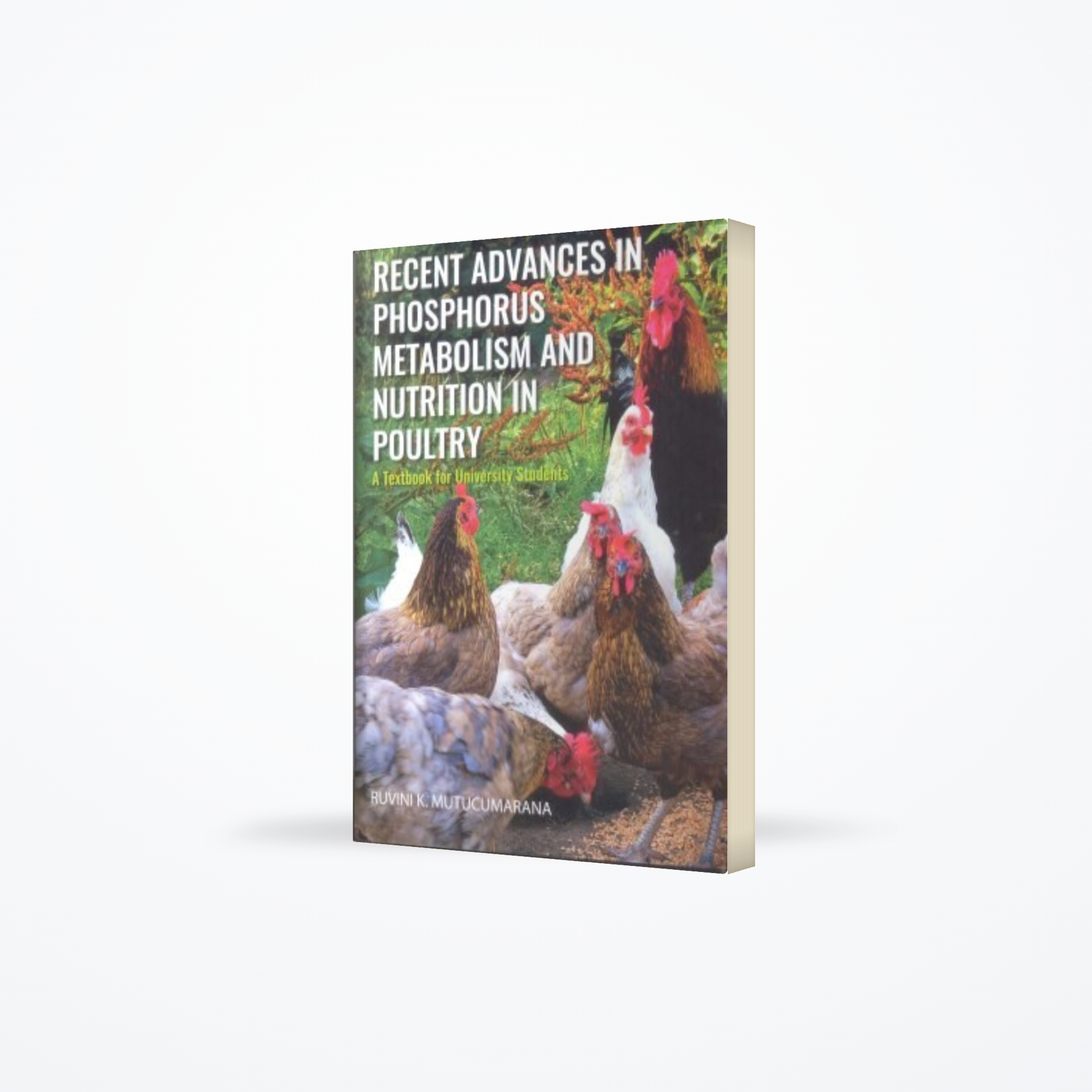 Recent Advances in Phosphorus metabolism and nutrition in poultry