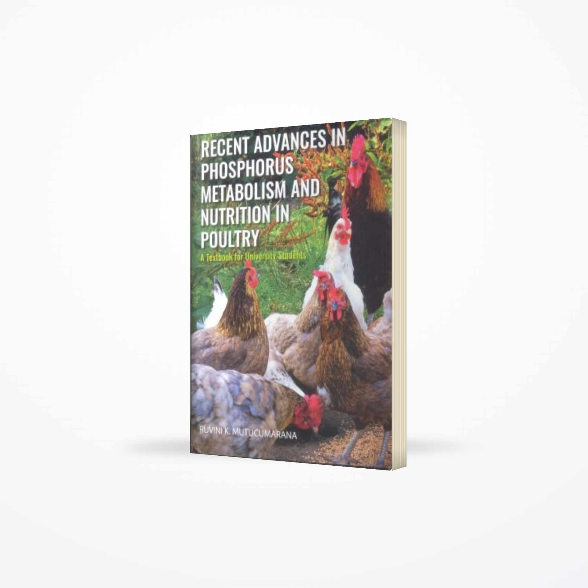 Recent Advances in Phosphorus metabolism and nutrition in poultry