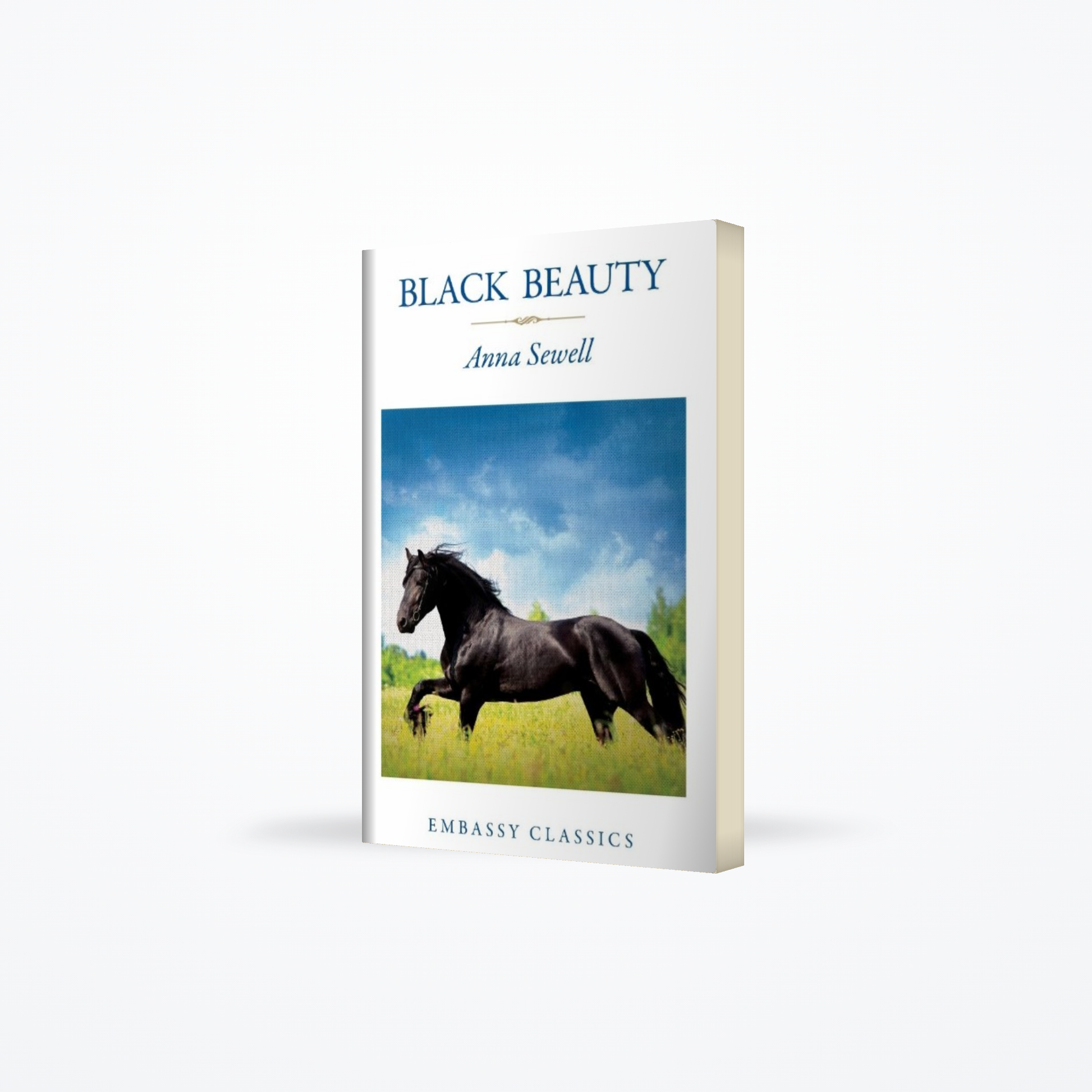 Embassy Cla - Black Beauty