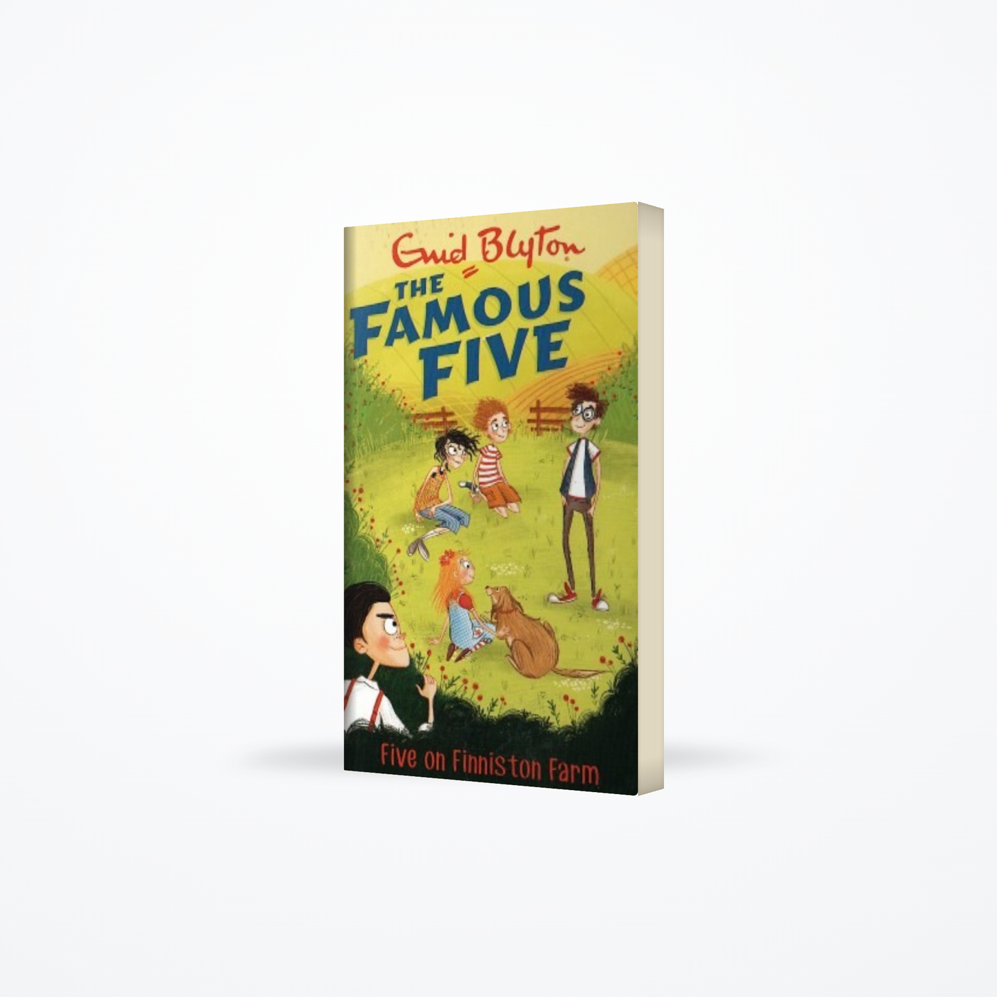 Famous Five : 18 Five On Finniston Farm