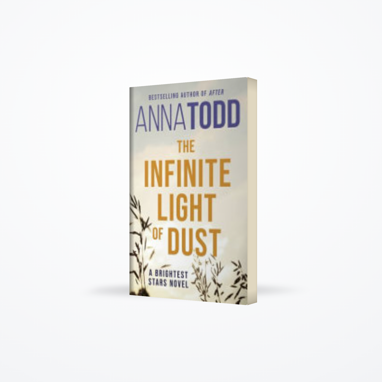 The Infinite Light of Dust