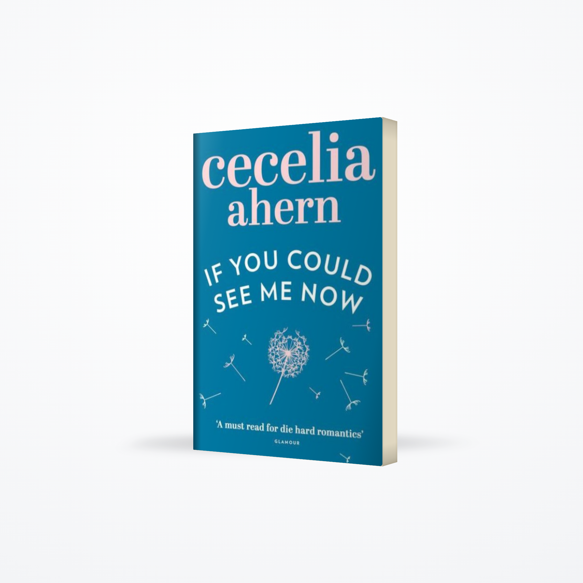 If You Could See Me Now