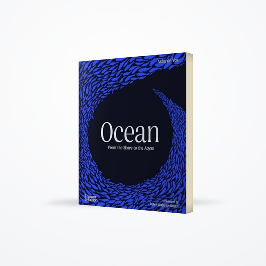 Ocean: From the Shore to the Abyss