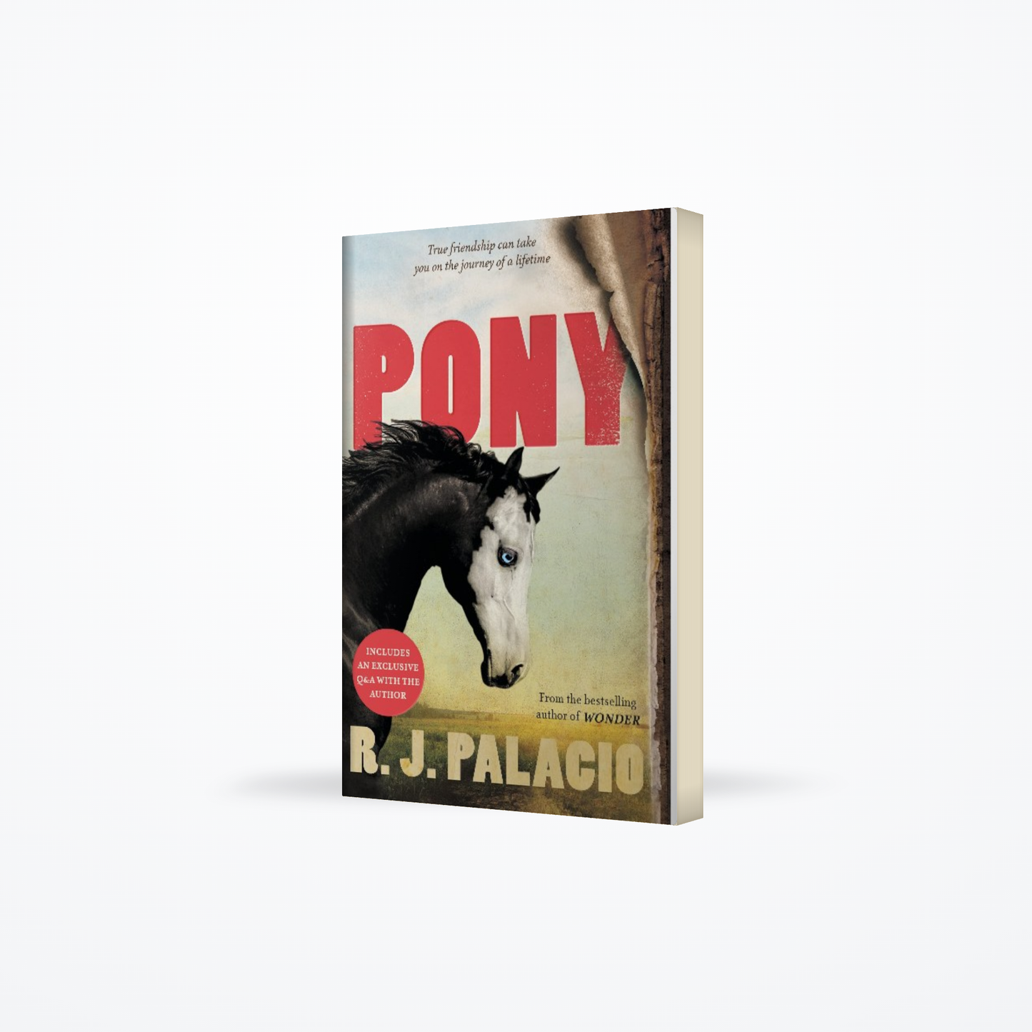 Pony