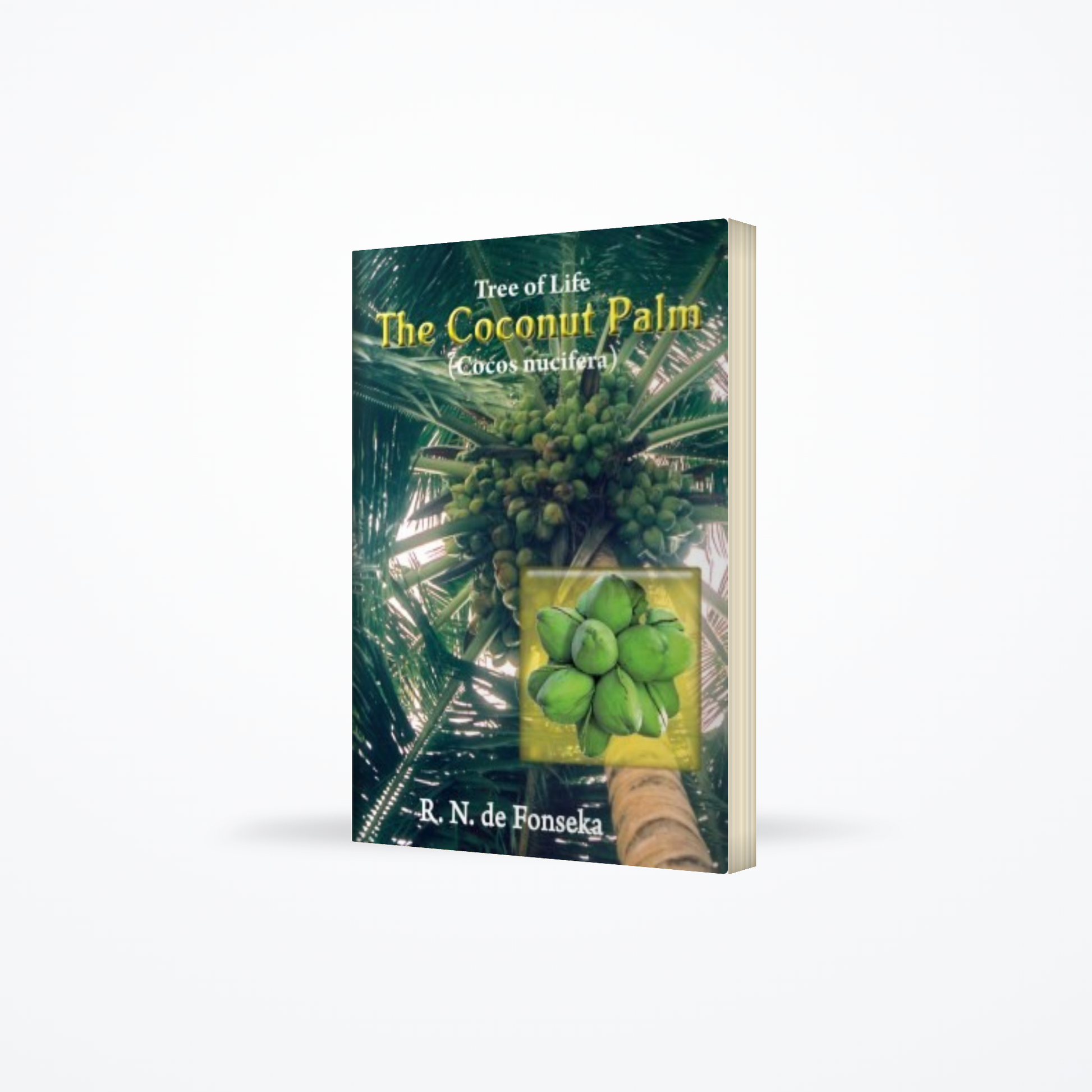 Coconut Palm