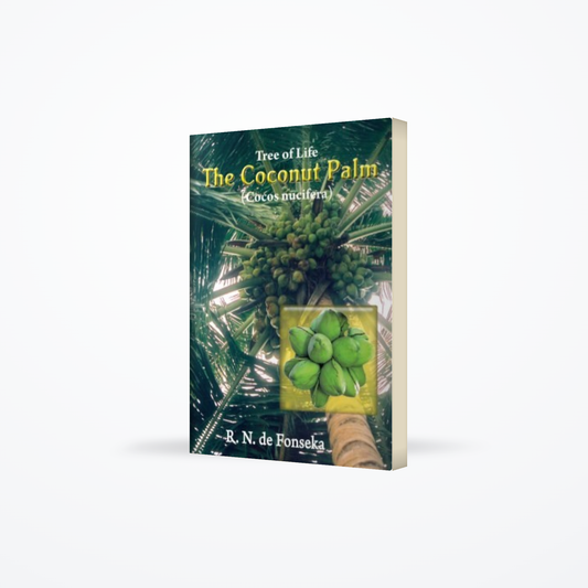 Coconut Palm