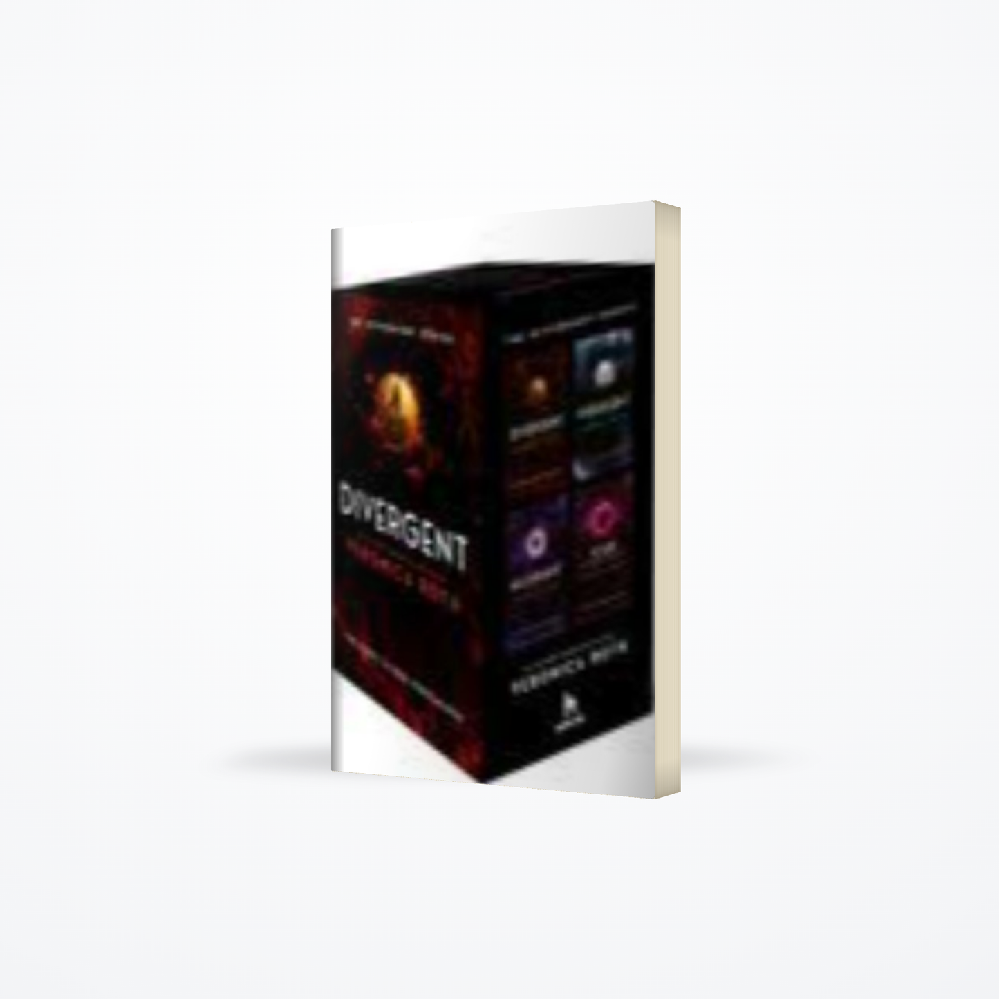 The Divergent Series