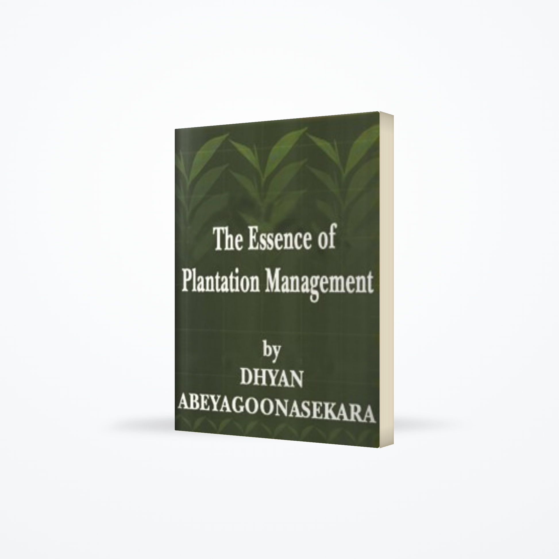 The Essence of Plantation Management