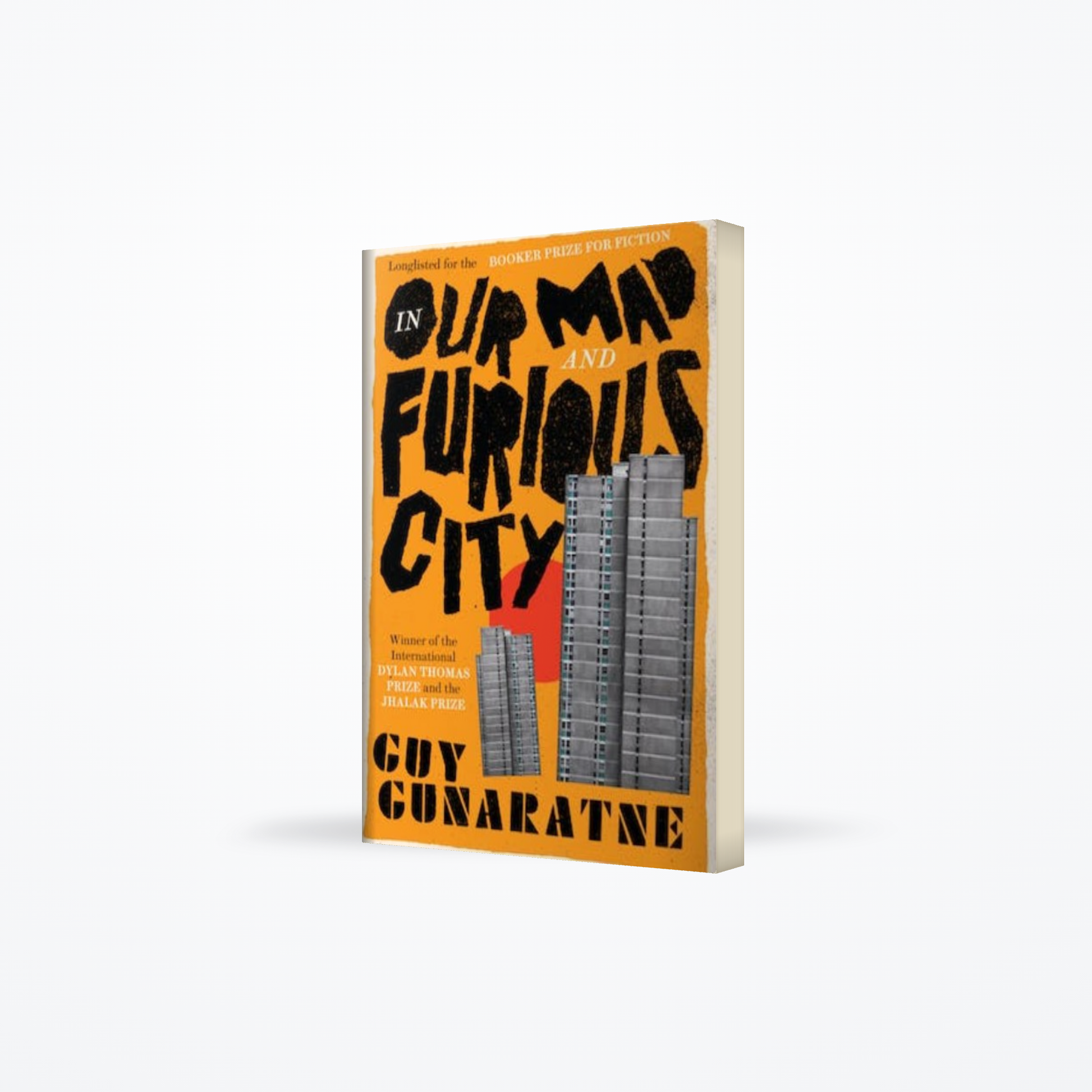 In Our Mad and Furious City