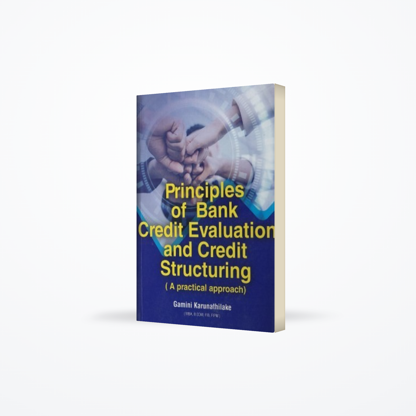 Principles Of Bank Credit Evaluation And Credit Structuring ( A Practical Approach )