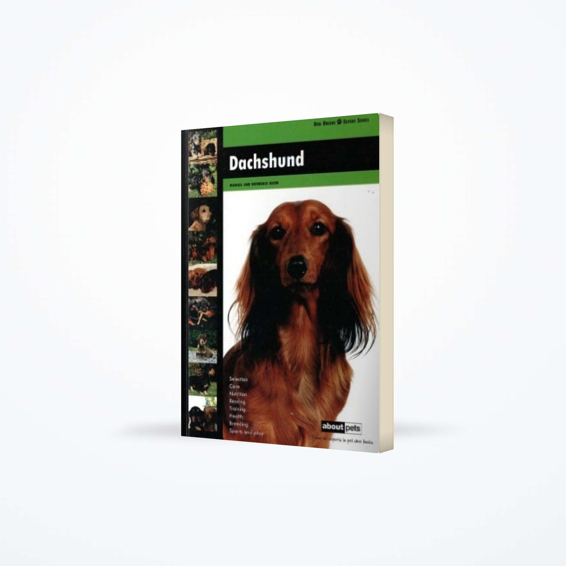 Dachshund