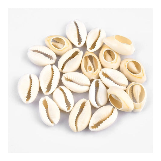 Lakpura® Sea Cowrie Shells