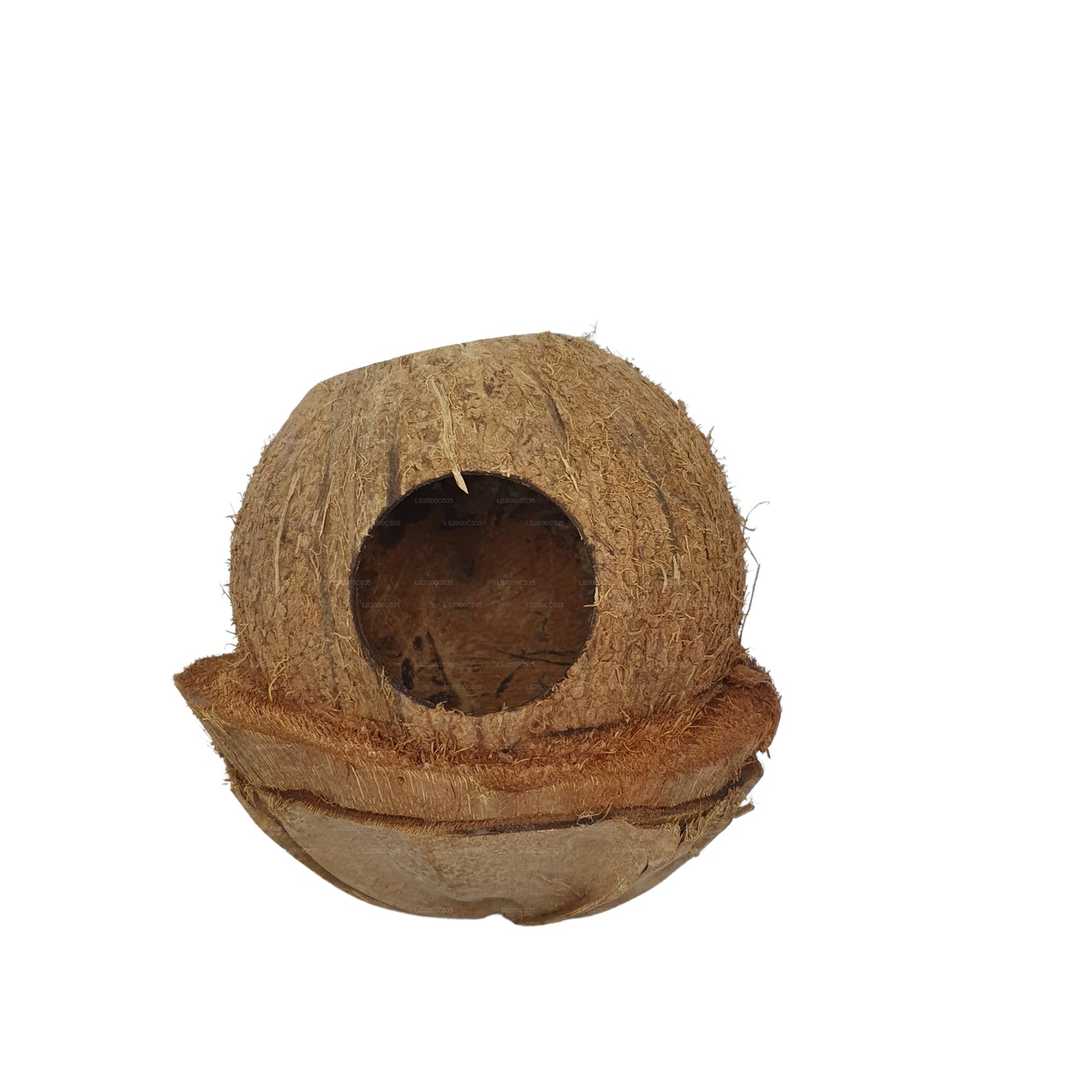 Bivenro Natural Coconut Bird Nest With Husk Cap Design (Free Size)