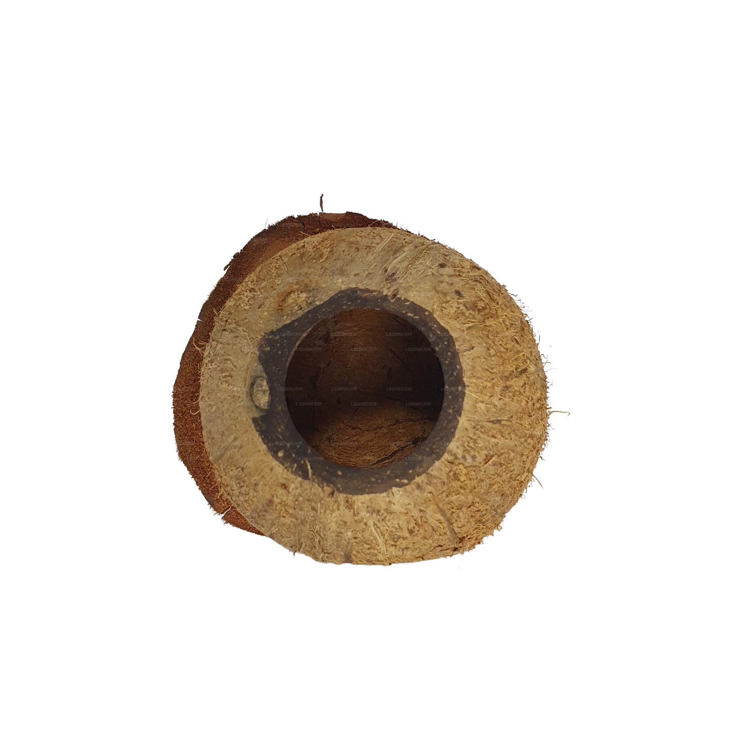 Bivenro Natural Coconut Bird Nest With Husk Cap Design (Free Size)