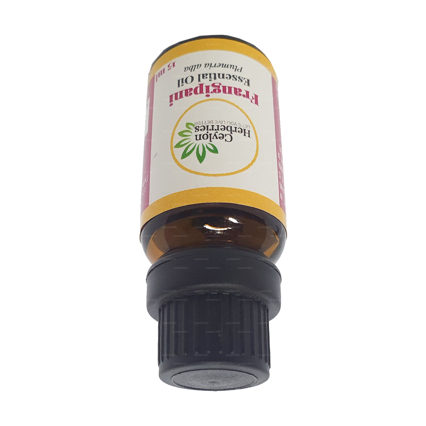 Ceylon Herberries Frangipani eterisk olja (Plumeria alba) 15ml