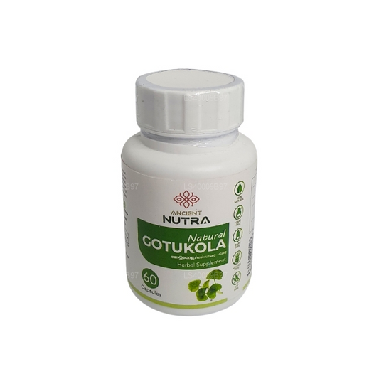 Ancient Nutra Gotukola（60 粒胶囊）
