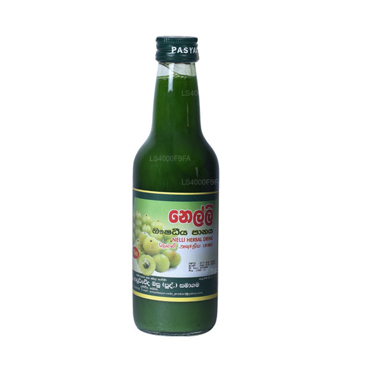 Pasyale Nelli Cordial