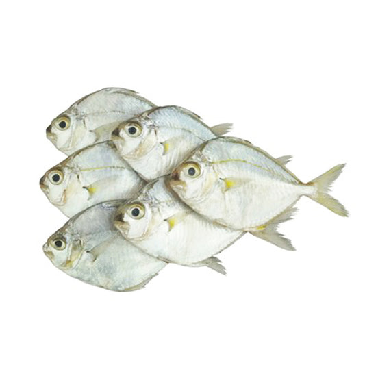 Lakpura Suszona Ryba Kucyka (200g)