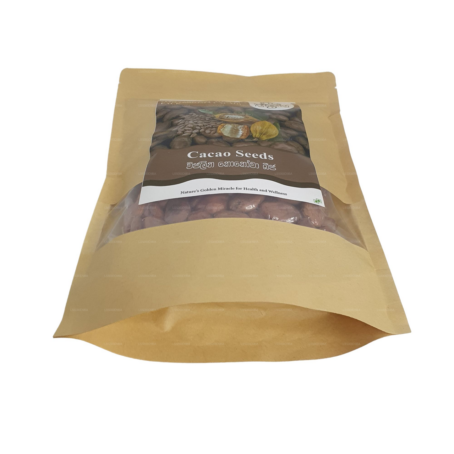 Ransaru Cacao Seeds (Theobroma cacao) Pack