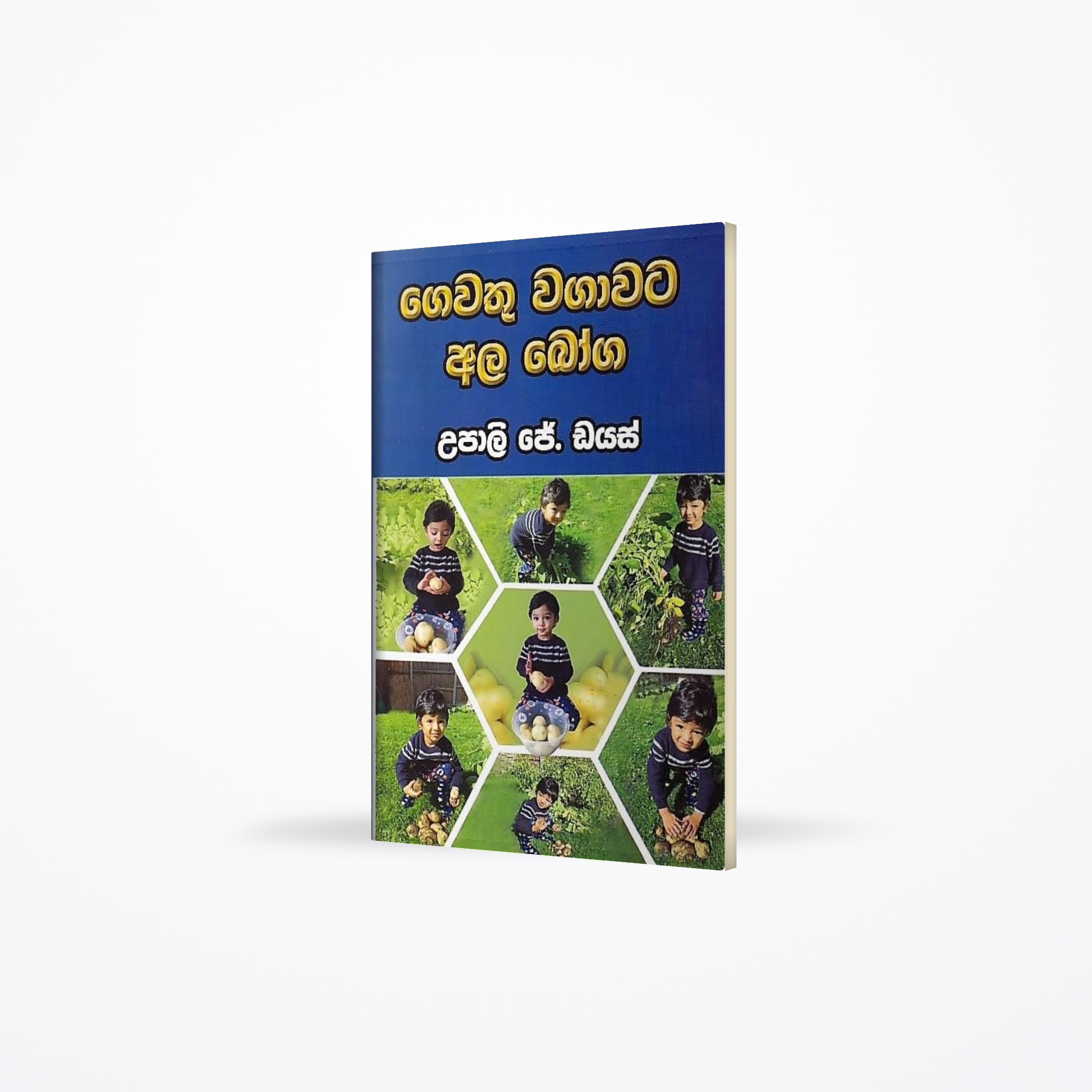 Gewathu Wagawata Ala Boga