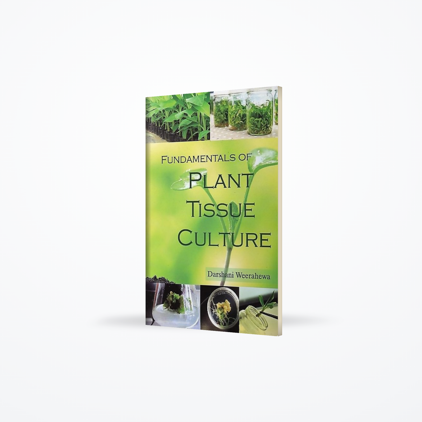 Fundamentals of Plant Tissue Culture