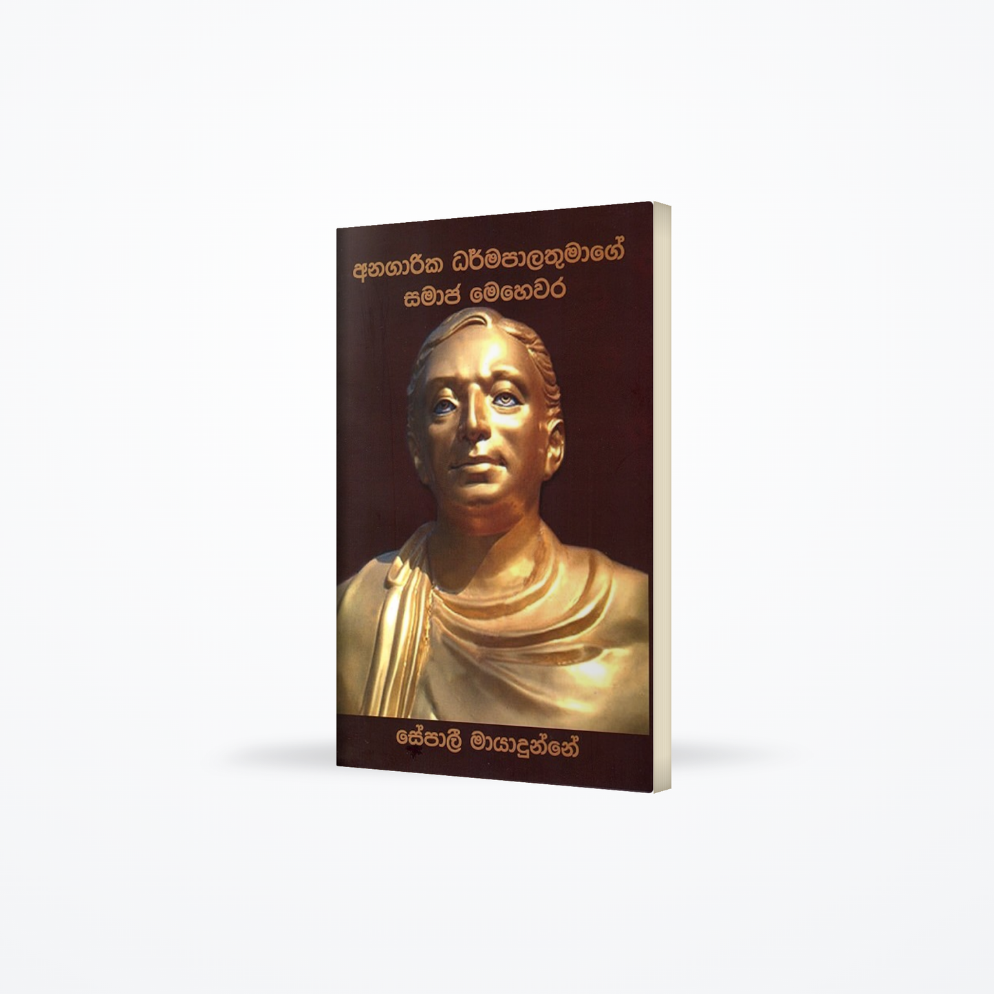 Anagarika Dharmapalathumage samaaja mehewara