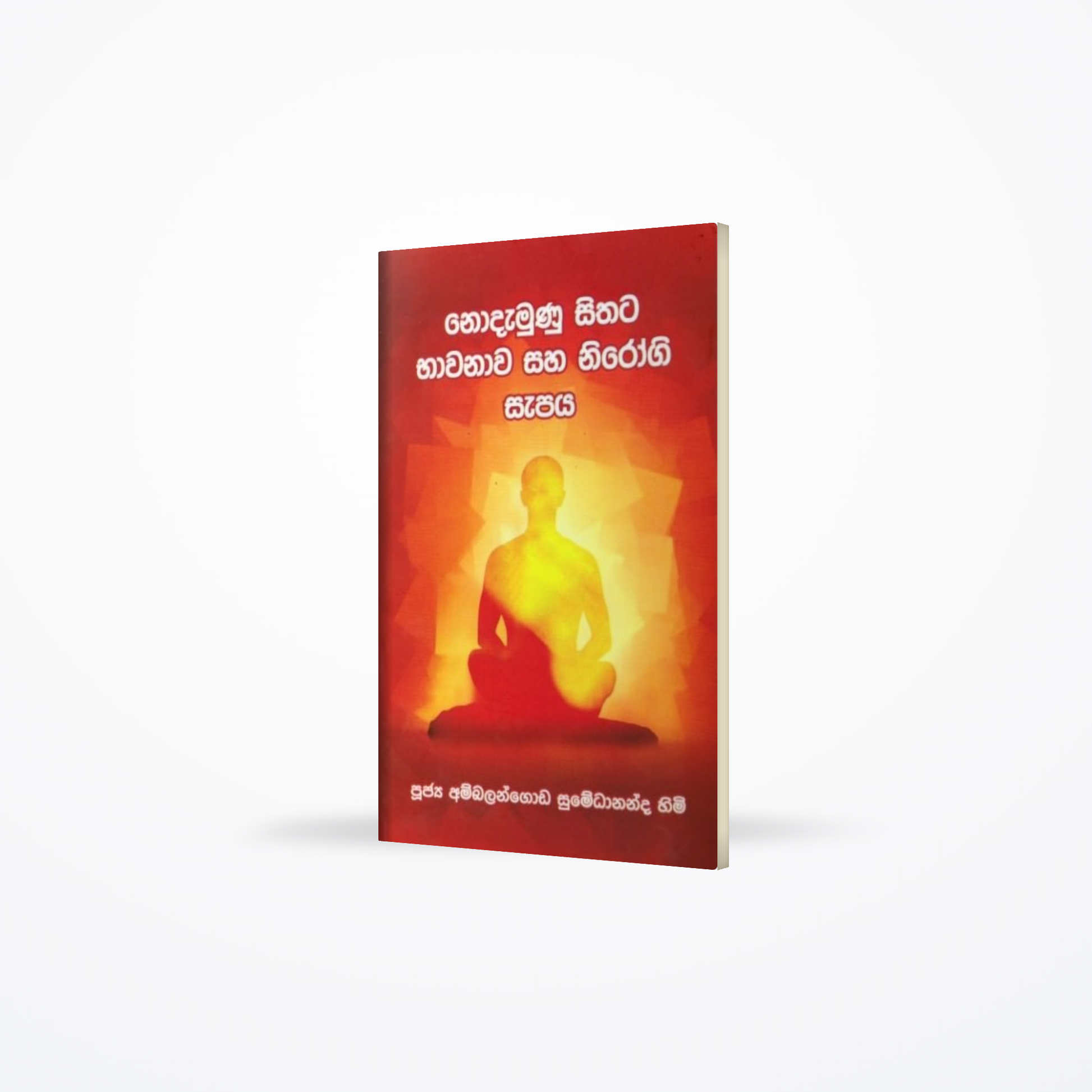 Nodamunu Sithata Bhawanawa Saha Nirogi Sapaya