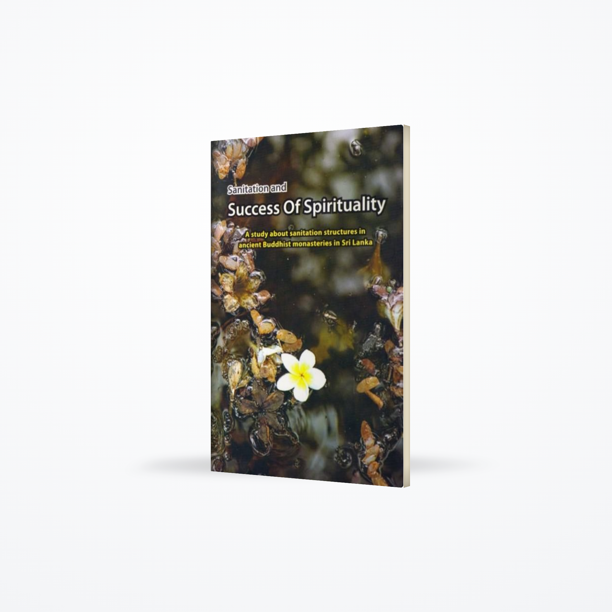 Sanitation and Success of Spirituality