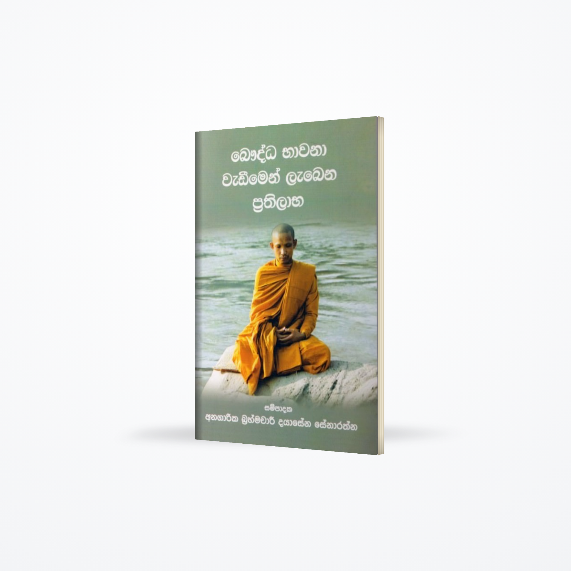 Bauddha Bhawana Wadeemen Labena Prathilabha