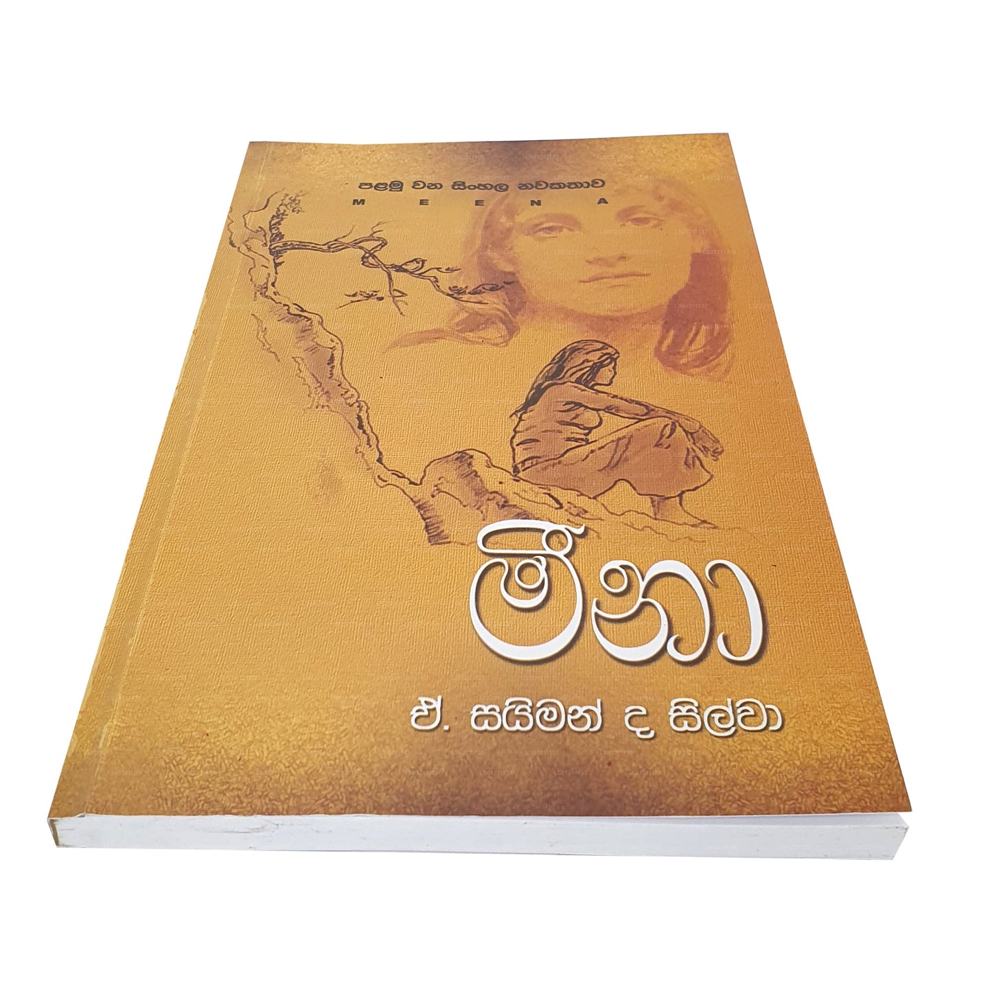 Meena - First Sinhala Novel